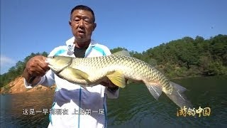 游钓中国 第一季 第1集 高山水库幽会巨青 高清