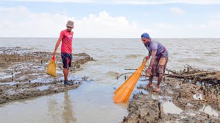 বঙ্গোপসাগরের মোহনায় ঝুঁকি নিয়ে প্রচুর মাছ ধরলাম || Amazing Fish Catching 2023