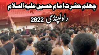 Chehlum Hazrat Imam Hussain a.s 2022 | Markazi Jaloos Dasta e Hussania Baltistania | Rawalpindi |