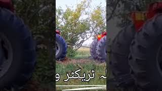 Mf 385 4x4 vs Mf 385 2wd tochan Moqbla jast for#viral #tractor #shorts#massey #tiktok#youtubeshorts