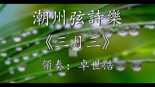 Teochew Music 潮州音樂潮州弦诗乐《三月三》轻六调、领奏：卓世浩、演奏：真音乐团队1