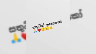 හමු වෙලා ඔයා ආයේ ලගින් ඉන්නමයි ඕනේ..හිතා ගන්නවත් බෑනේ මගේ පන ඔයා ගියානේ..💔💔