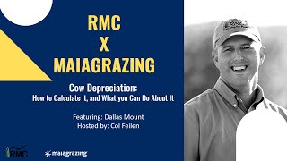 Cow Depreciation: How to Calculate it, and What you Can Do About It