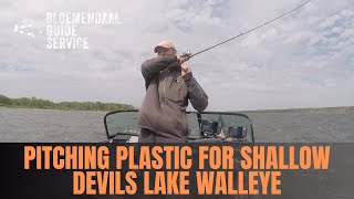 Pitching Plastic for Shallow Devils Lake Walleye