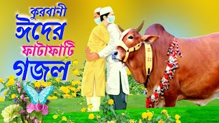 কুরবানীর ফাটাফাটি গজল ২০২২ || কুরবানীর ঈদ এলো || Kurban Elo ||Dao kurbani ||Aibd