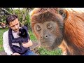 Volunteer Experiences The Bolivia Wildlife Sanctuary! | The Great Projects