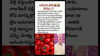 పాపం,టమాటా రైతు😭😭|#shorts #tomato #farmer #sad #emotional #facts #news #telugu