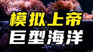 上帝模拟器：用一年的时间打造一个巨型海洋生态系统上帝模拟器 生态缸 减速带 养鱼日记 鱼缸里的大自然