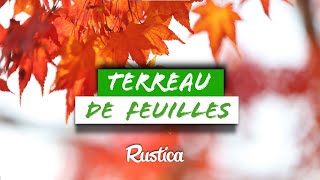 Terreau de feuilles :  Recycler vos feuilles mortes comme un pro avec Hubert le Jardinier ! 🍂