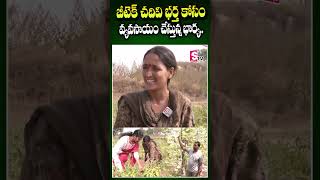 బీటెక్ చదివి భర్త కోసం భార్య వ్యవసాయం | B.Tech Farmer Mounika Inspirational Interview  #agriculture