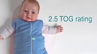 Ergo Pouch - Hybrid Swaddle Cocoon