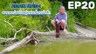 ทอดแหด่อง EP20 ตามหาปลาใหญ่แห่งเขื่อนป่าสัก #รวมพลคนรักแหด่อง #น้าแพรเทพสายด่อง