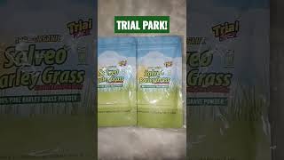 Salveo Barley Grass Powder Trial Pack