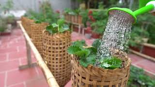 The idea of ​​growing strawberries for gardening at home