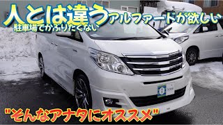 ［ アルファード / ヴェルファイア ］石を投げればアルヴェルに当たる［２０系/中古車 ］