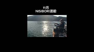 11月NISIBORI渡船さん#筏釣り #海釣り #黒鯛 #チヌ釣り