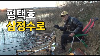 평택호 삼정수로 부들밭 공략 #김태우 프로