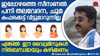 ഇപ്പോഴത്തെ പനി തലവേദന, ചുമ, കഫക്കെട്ട് വിട്ടുമാറുന്നില്ല, എങ്കിൽ വൈറ്റമിനുകൾ നിർബന്ധമായും കഴിക്കണം