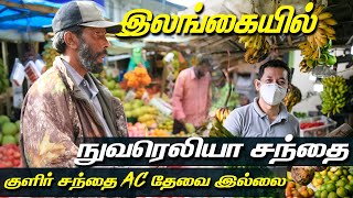 இலங்கையில் இந்த சந்தையில் ஒரு மரக்கறியும் வாடாது | Nuwara Eliya Central Market | Kajan Jaffna