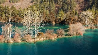 九寨冬韻 Jiuzhaigou Winter(九寨溝/九寨歸來不看水/中國旅遊攝影/聽歌看照片/常言道)