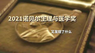 2021年诺贝尔生理学或医学奖公布 来看看到底他们是凭什么得的奖