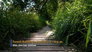 Discover Bloomington: April Events