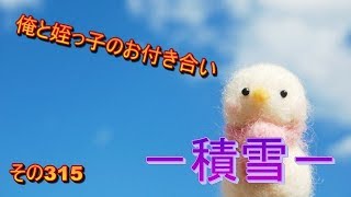 俺と姪っ子のお付き合い－積雪－その315