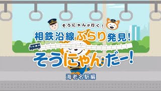 ≪NEW≫そうにゃんが行く！相鉄沿線ぶらり発見！そうにゃんだー！【海老名駅編】