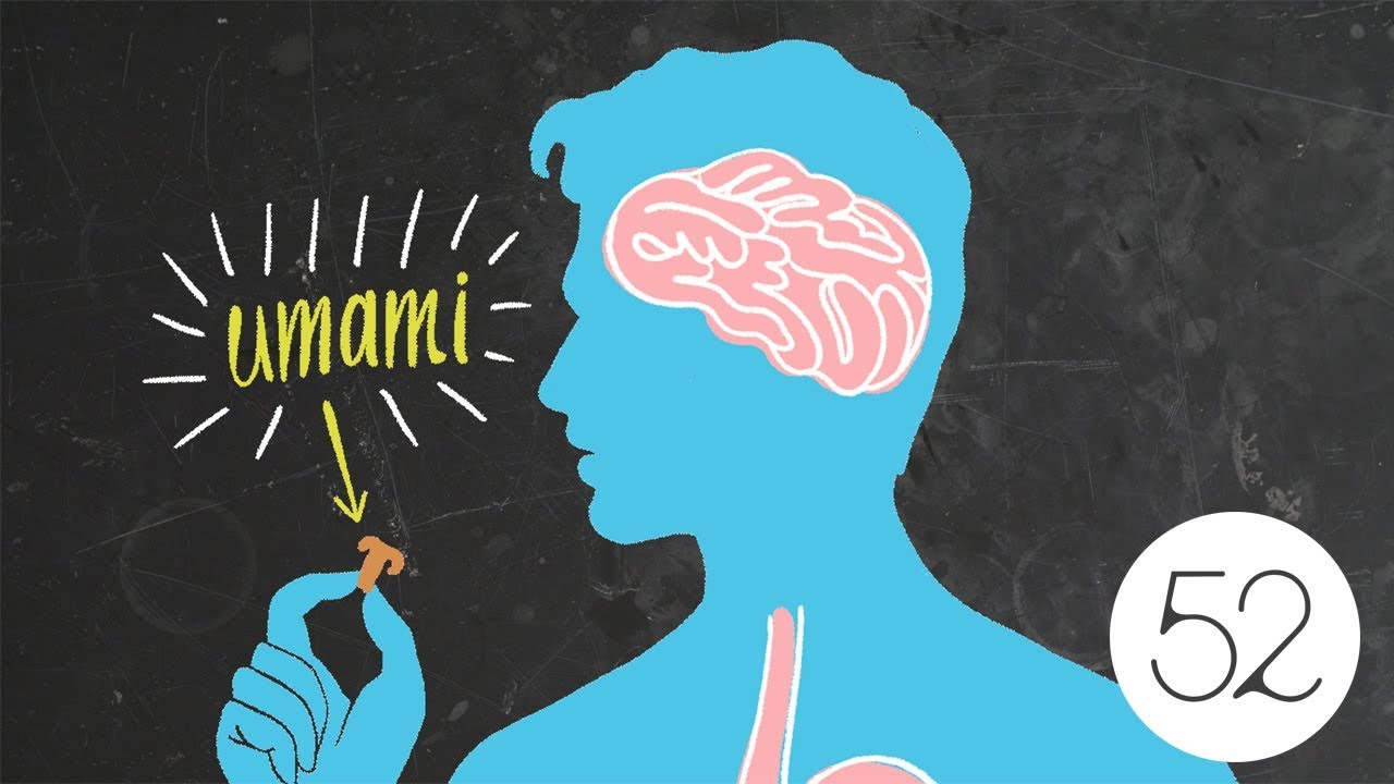 Umami Taste Diagram