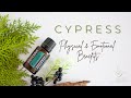 Cypress Essential Oil Uses & Benefits : Physical + Emotional 🌲