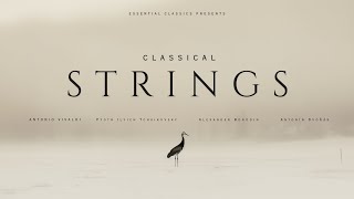 Classical Strings - Classical Music Gems