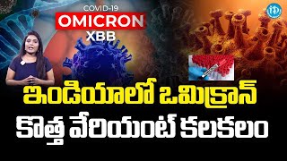 భారత్‌లో ఒమిక్రాన్ కొత్త వేరియంట్ కలకలం | Omicron XBB 2.3 Varient | India iDream Kadapa