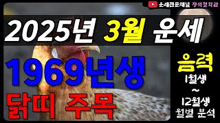 2025년 3월 닭띠 운세, 1969년생 닭띠 3월운세, 대운을 완성하는 황금 같은 조언