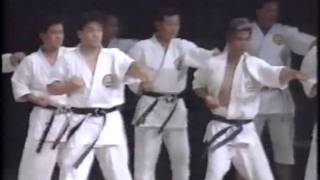 passai sho, Nakazato Shugoro no Embu 1992