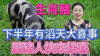 【生肖豬】2024 下半年會有一場滔天大喜事，屬豬人快來接喜！晚了就溜走了！#生肖 #風水 #運勢 #财运 #财富启发