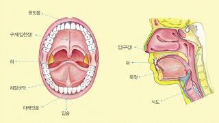 누리나래 3호 2단계 교구활용 영상 내 몸 퍼즐