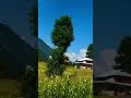 Nature view 🏞️🇵🇰 #shorts #youtubeshorts #trending #viral