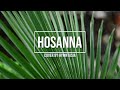 Hosanna / Palm Sunday / Carl Tuttle / piano instrumental cover with lyrics