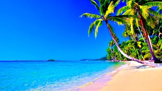 4K UHD Tropical Beach, Palm Trees. Ocean Waves, Blue Sea. Calming Ocean Sounds for Deep Sleep.