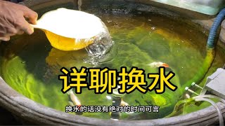 养金鱼换水经常 有，您是怎么换水的？