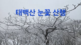 태백산 눈꽃 산행