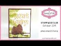 The Stamps of Life Monthly Stamp & Die Club: pinecone2stamp | October 2019