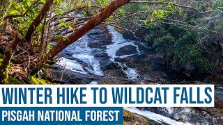 Winter Hike to Wildcat Falls in Pisgah National Forest