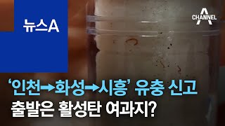 ‘인천→화성→시흥’ 잇단 유충 신고…출발은 활성탄 여과지? | 뉴스A