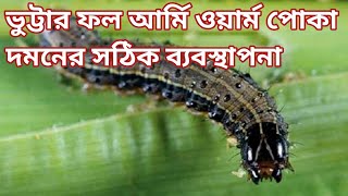 ভূট্টার ফল আর্মিওয়ার্ম পোকা দমনের সঠিক ব্যবস্থাপনা,management of corn fruit armyworm insect control.