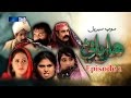 Sindh TV Soap Serial HARYANI EP1 - 17-4-2017 - HD1080p -SindhTVHD