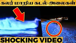 திருவான்மியூர் Beach -ல் திடீர் பரபரப்பு  - நடந்தது என்ன ?