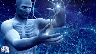 Full Body Healing Frequencies (432Hz) - Alpha Waves Massage The Whole Body, Regeneration Aging Cells
