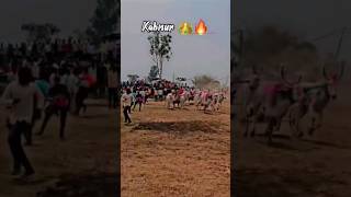 💥कबनूर 21 हजार मैदान \u0026 2 kg चांदीची गदा💥 #sharyat #bailgadisharyat #bullrace #oxraces #ox #bullcart