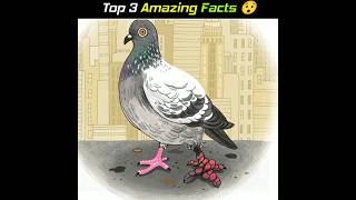 Top 3 Amazing Facts 🤯।Facts।@FactsMine @relatedfacts8535 /#shorts #youtubeshorts #facts